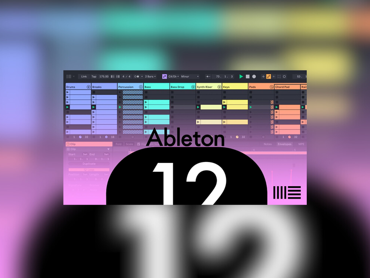 Ableton Live 12 Suite product artwork